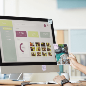 Website + SEO + PPC